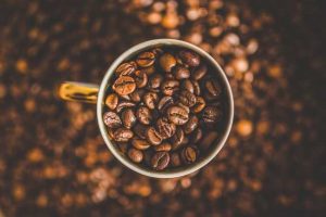 コーヒ豆の種類